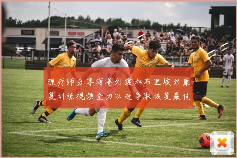 理疗师分享海港外援加布里埃尔康复训练视频全力以赴争取恢复最佳状态