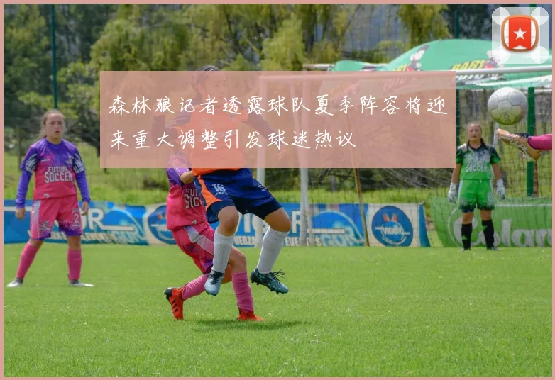 森林狼记者透露球队夏季阵容将迎来重大调整引发球迷热议
